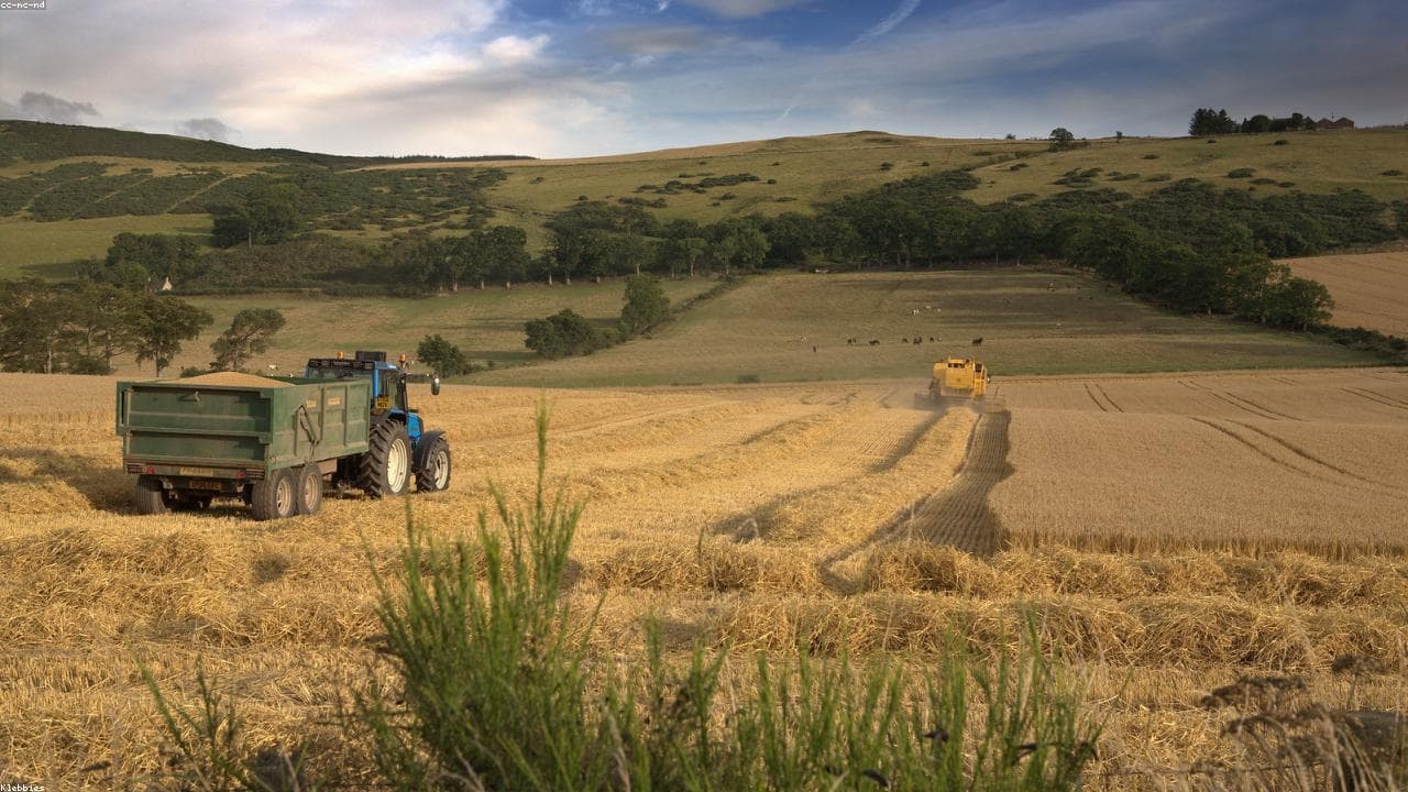 John Deere × New Holland: qual colheitadeira escolher para sua lavoura?