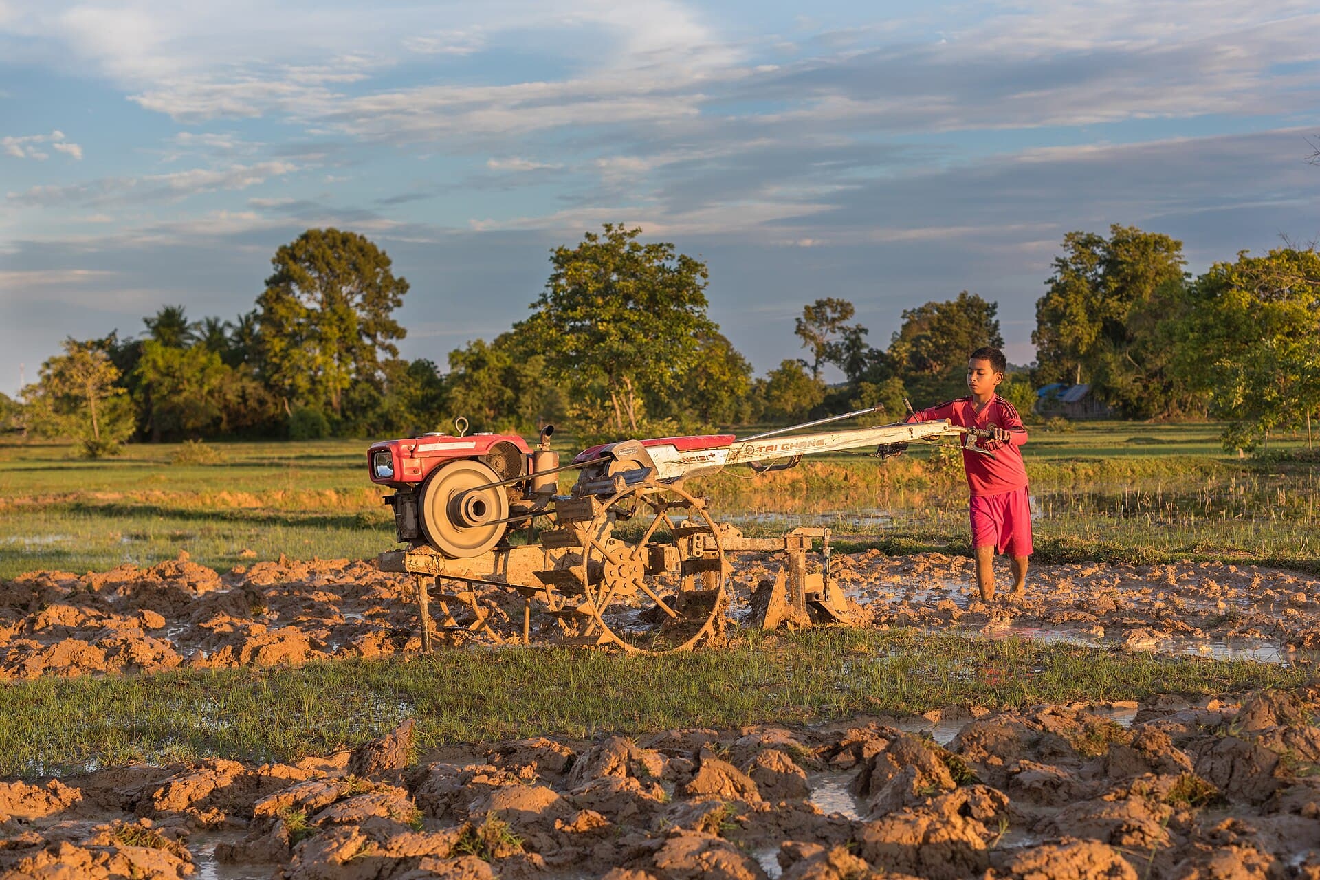 Como dimensionar trator e implemento para trabalhar mais hectares por hora